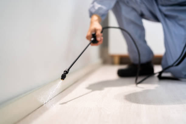 Licensed Rodent Control service in Massac County County, IL - Nex Pest Control
