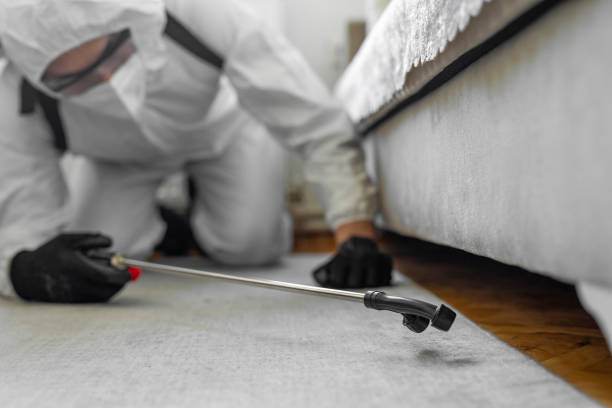 Professional Rodent Control technician working in Massac County County, IL